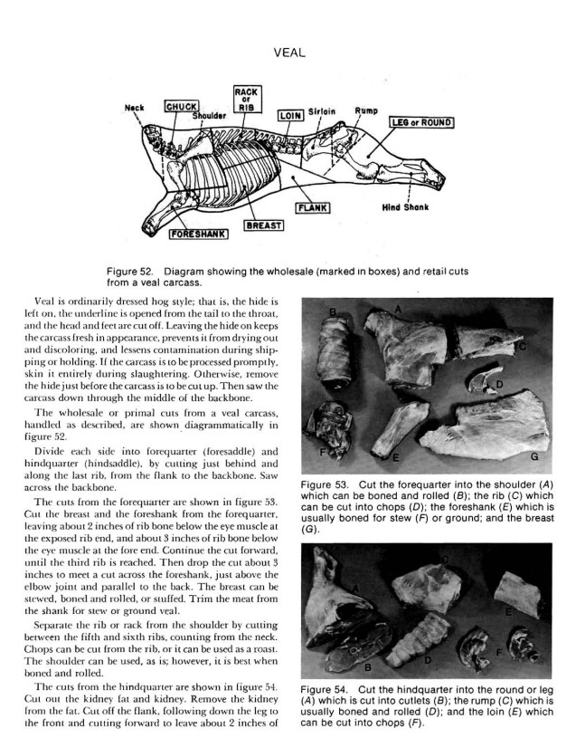 The Master Guide to Home Butchering 12 books & 7 Charts on CD {PDF}