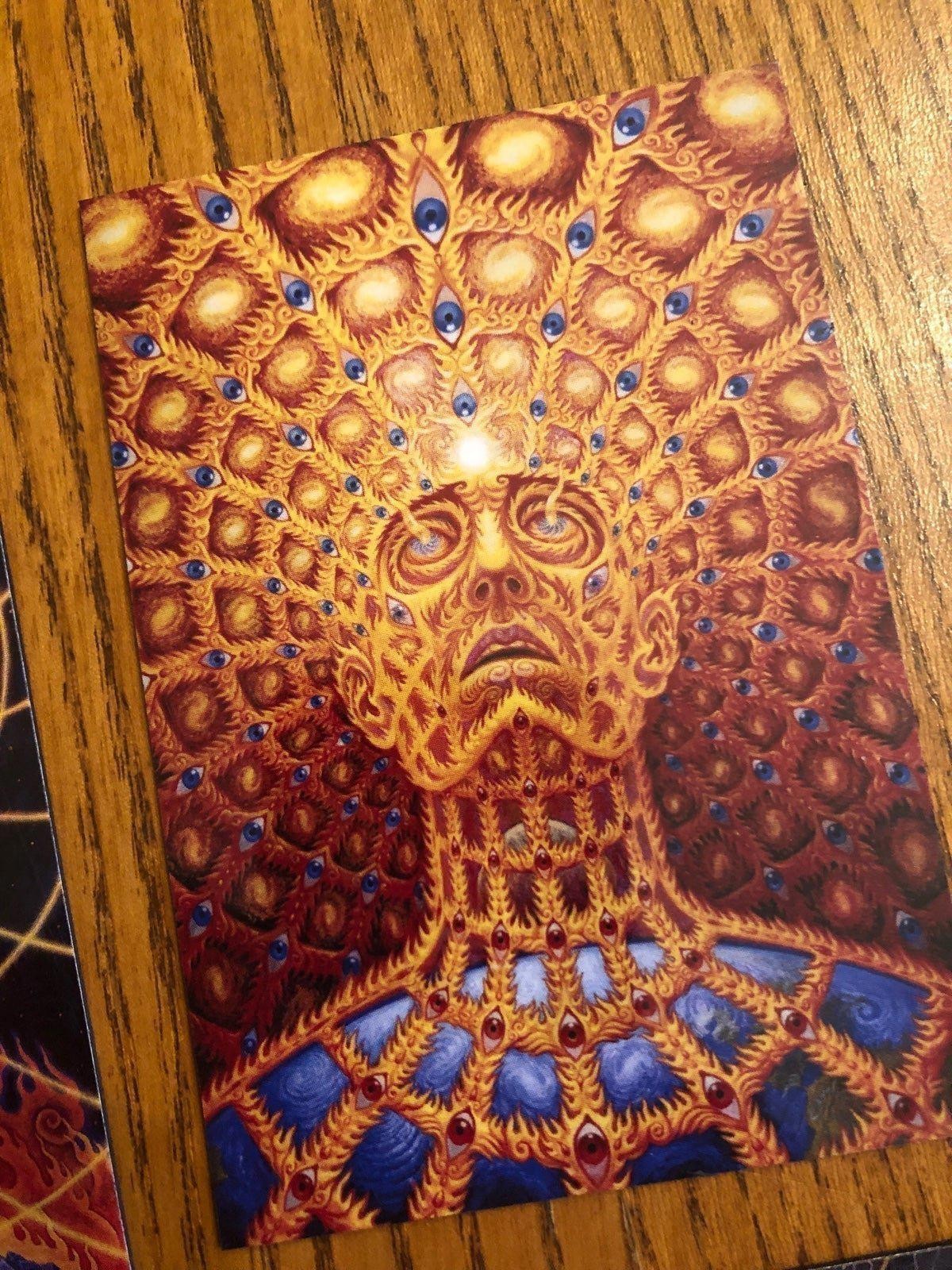 Alex Grey fridge magnets LSD new age healing art painter mystical