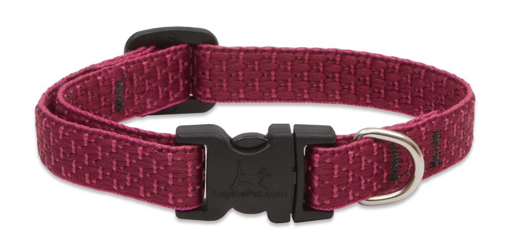 LupinePet Eco 1/2″ Berry 8-12″ Adjustable Collar for Small Dogs