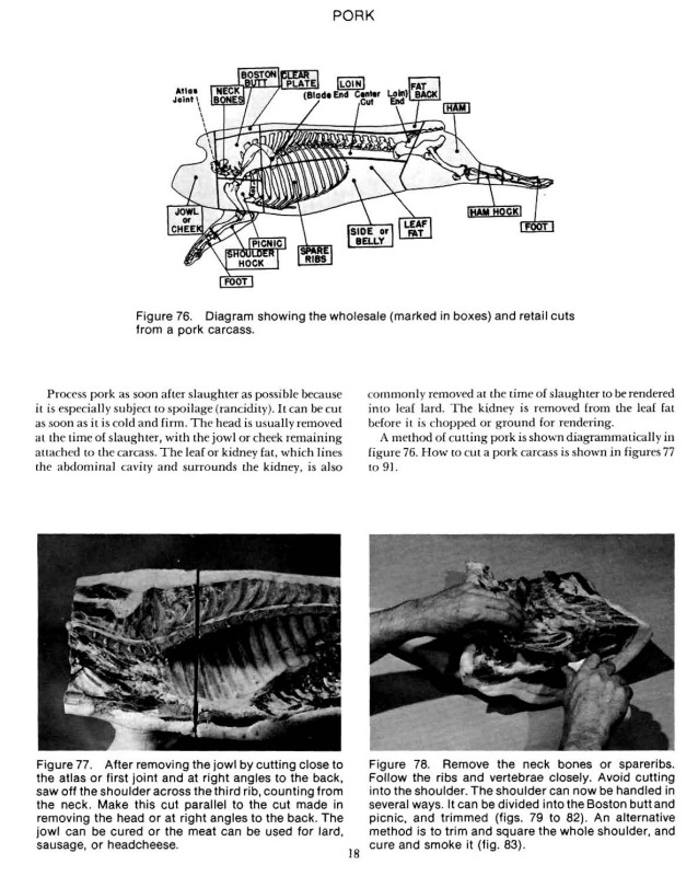 The Master Guide to Home Butchering 12 books & 7 Charts on CD {PDF}