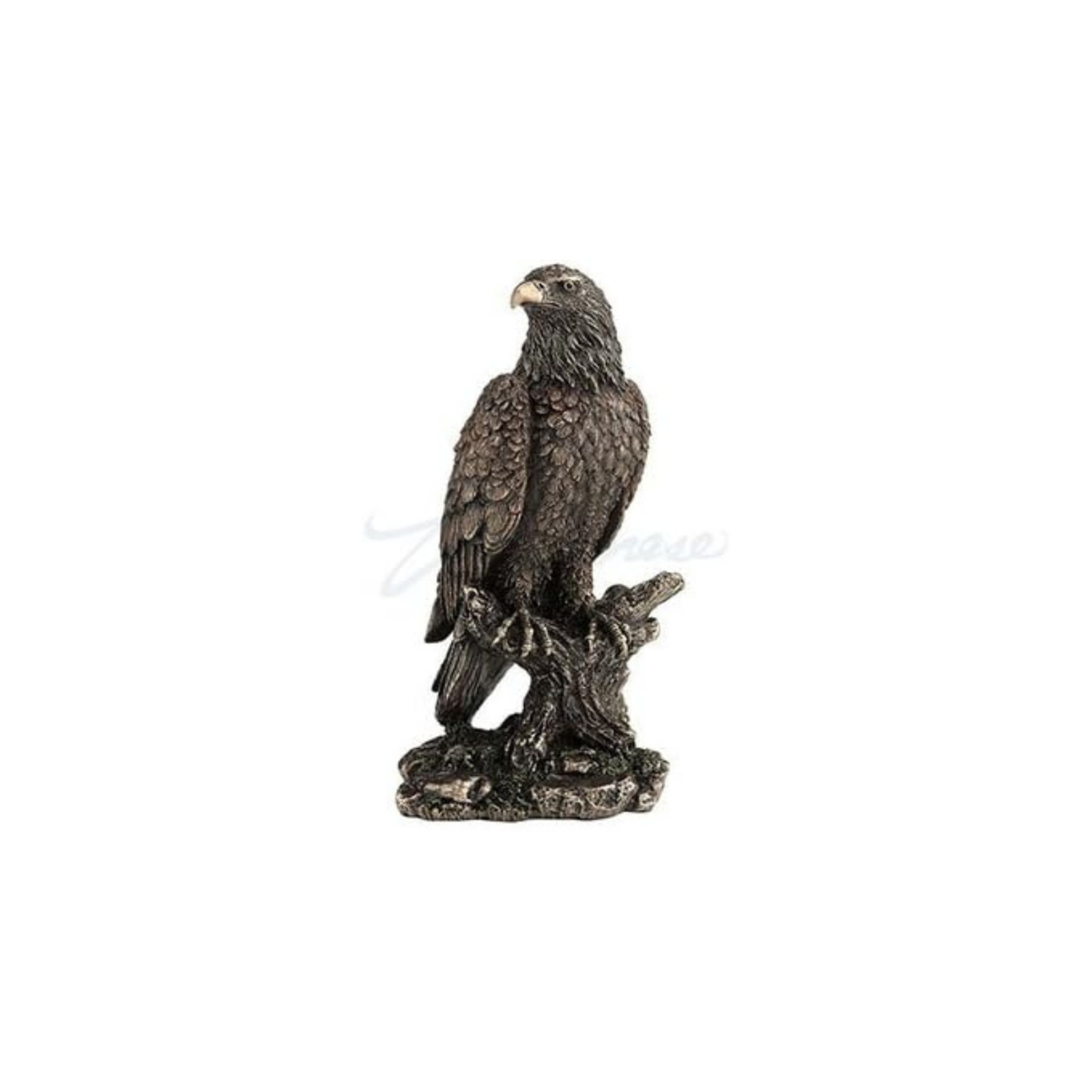 Unicorn Studios WU76852A4 Bald Eagle Perching on Tree Branch