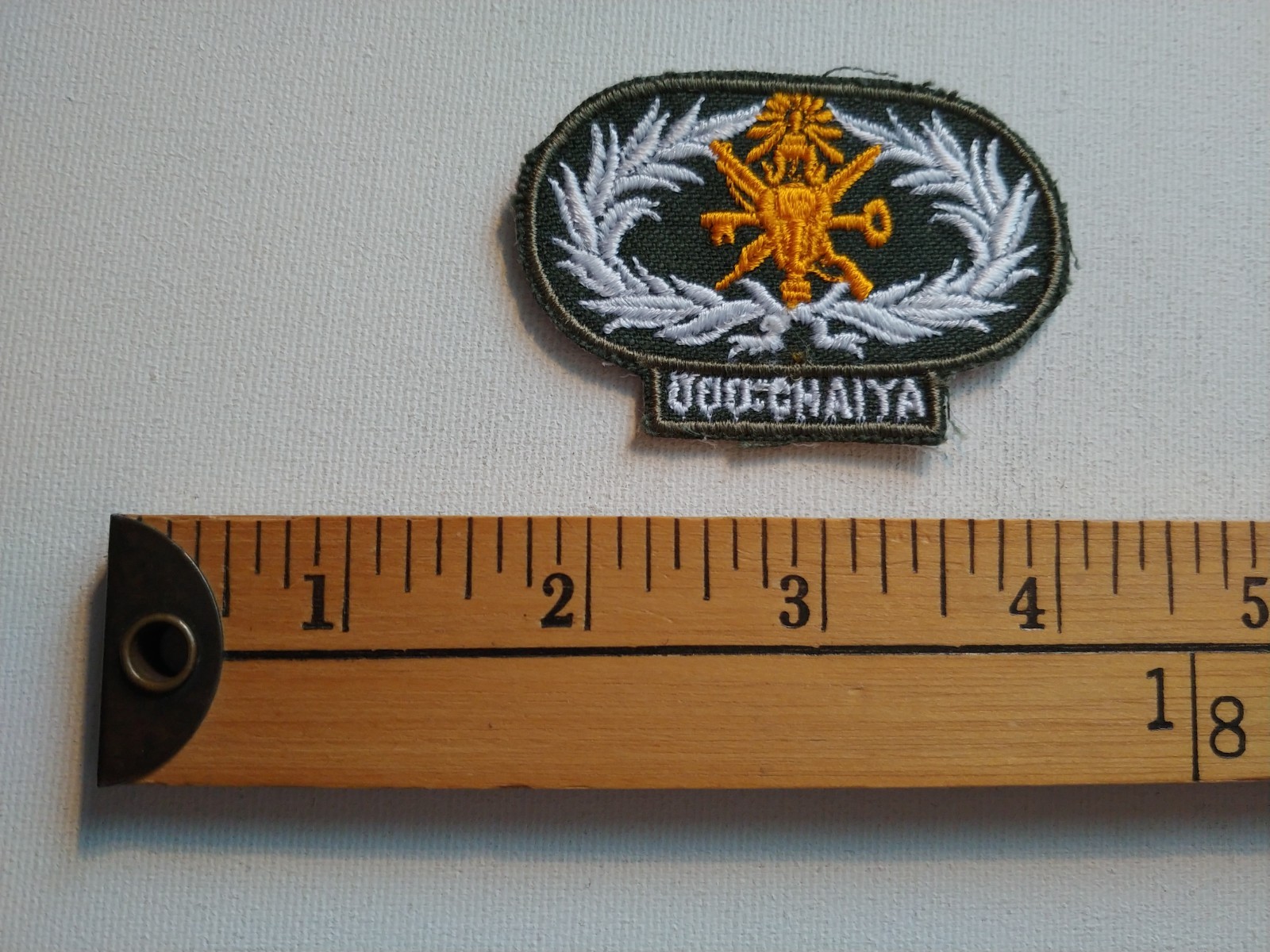 * THAILAND PENITENTIARY PENITENCIER JAIL PRISON GUARD ECUSSON PATCH CREST *