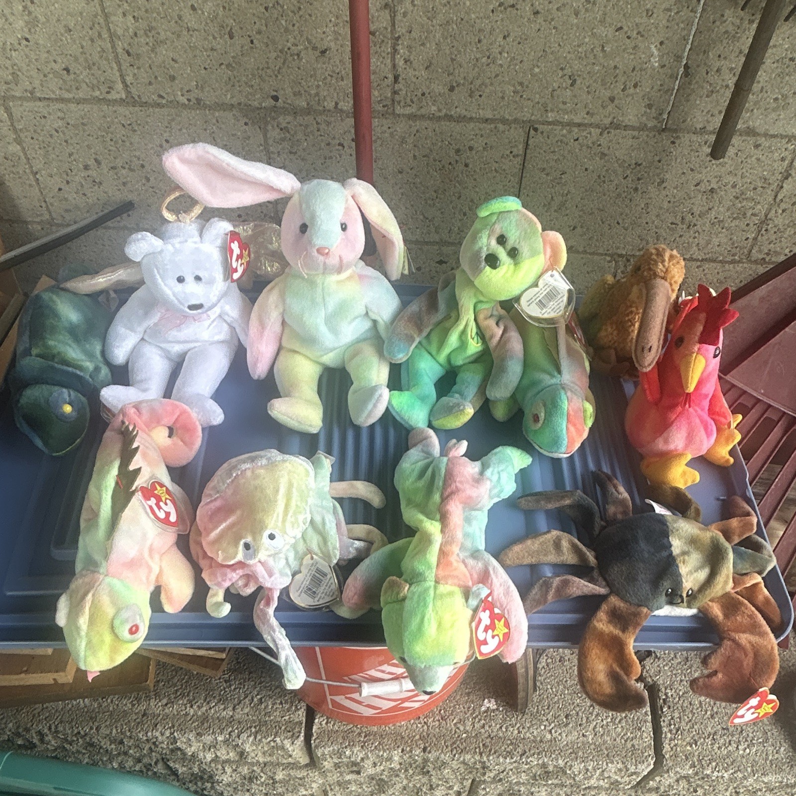 Ty Beanie Baby Lot Assorted Pastel Plush Stuffed Animals w/ Tags Multiple