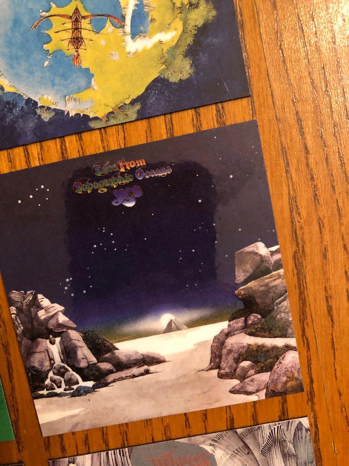 YES fridge magnets