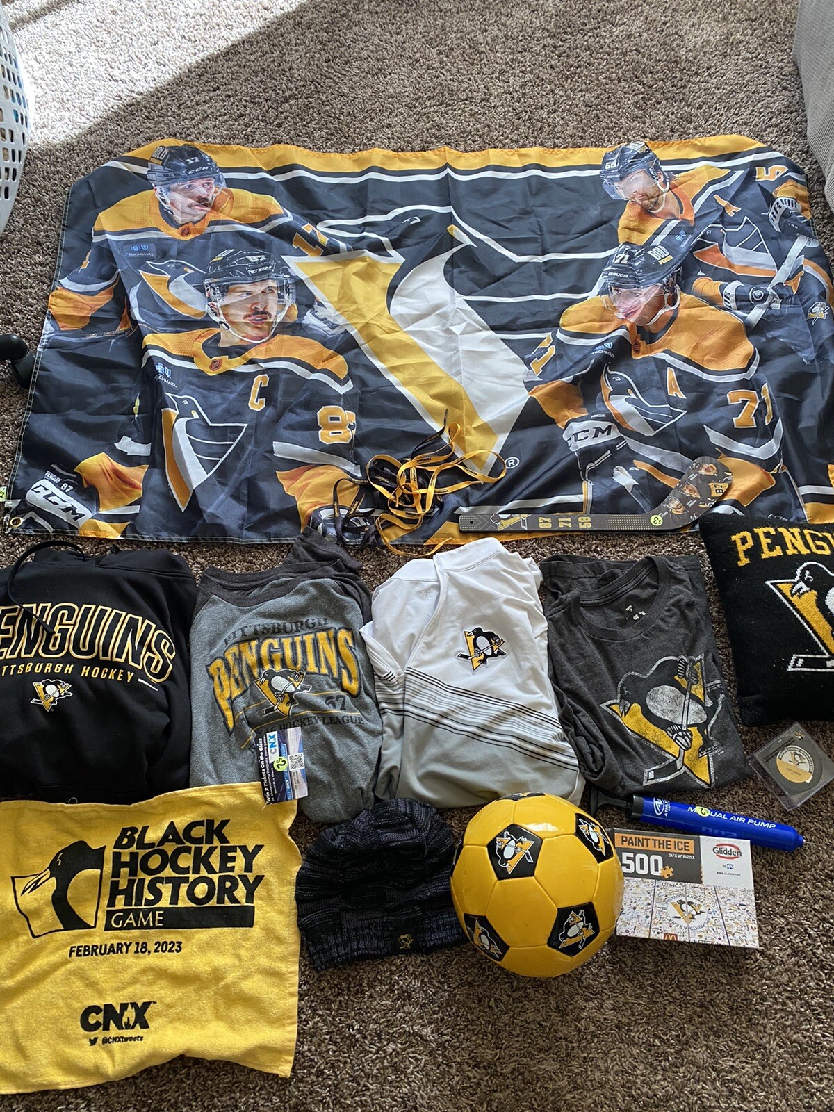 Pittsburgh Penguin Collectable Set (please See Description)