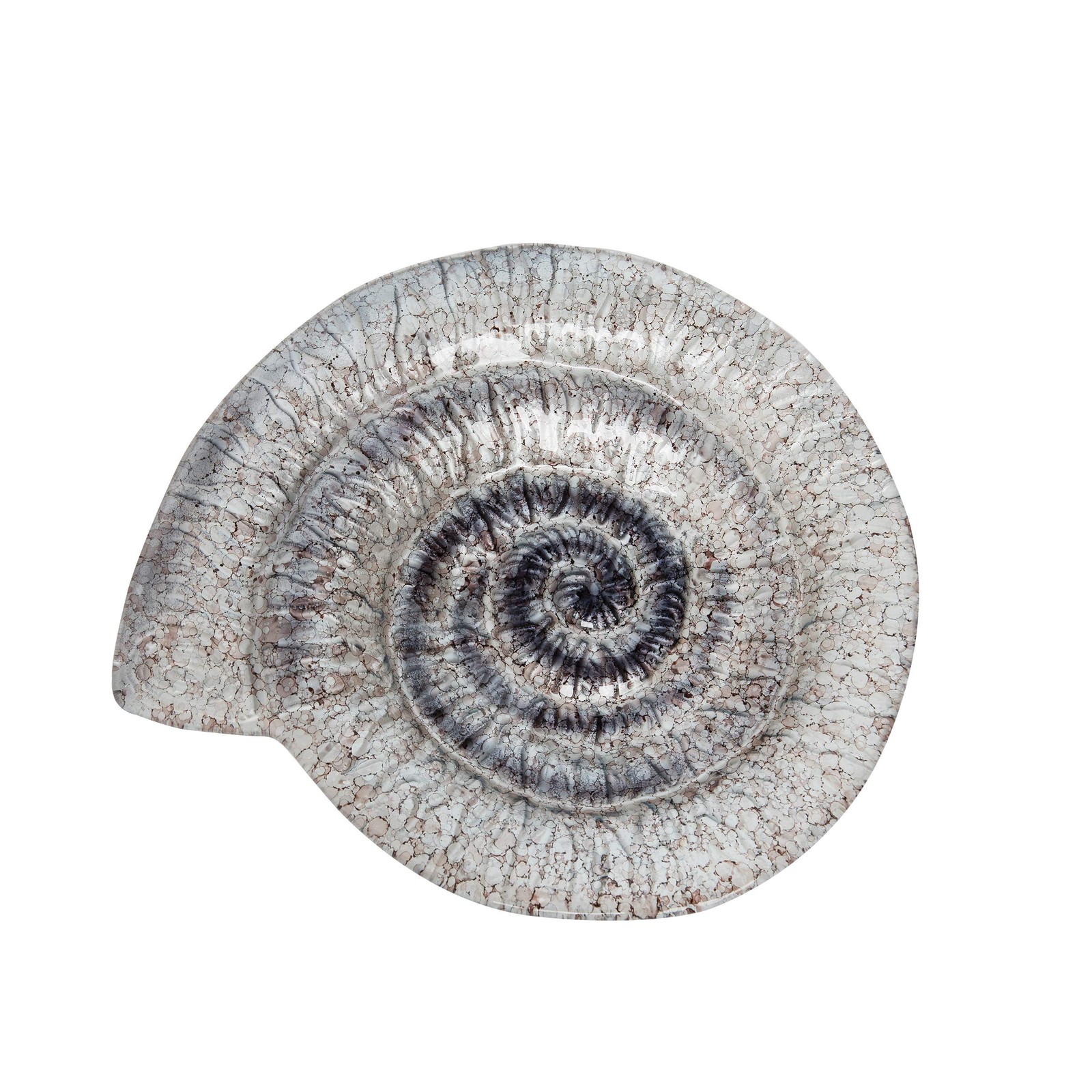Beachcombers Nautilus Plate, 11.25-inch Length
