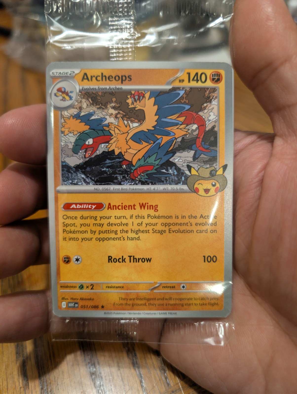 Pokemon Fossil Museum Bundle (Free Shipping!!!)