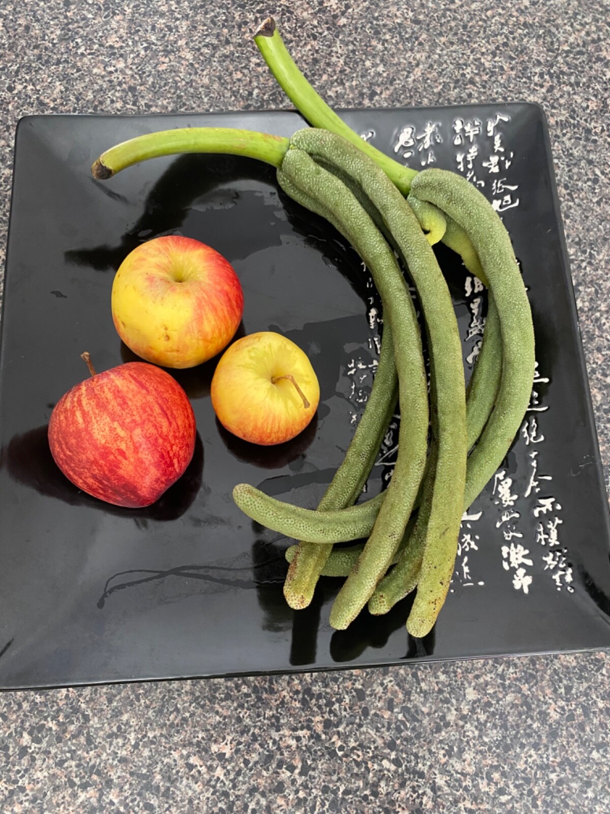 Cecropia gabrielis – 50 seeds