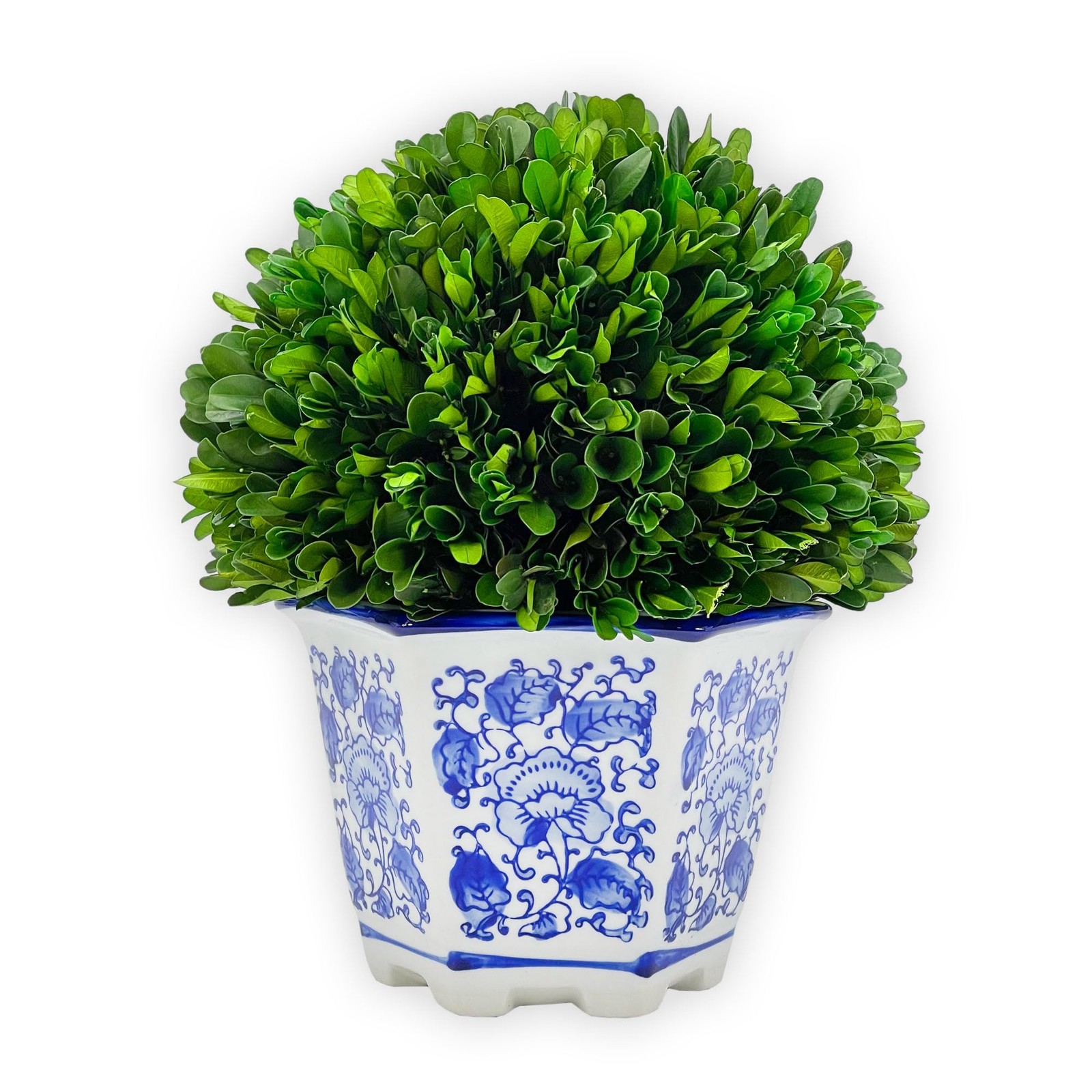 Galt Boxwood Topiary 9.5in Blue White China Pot Decor