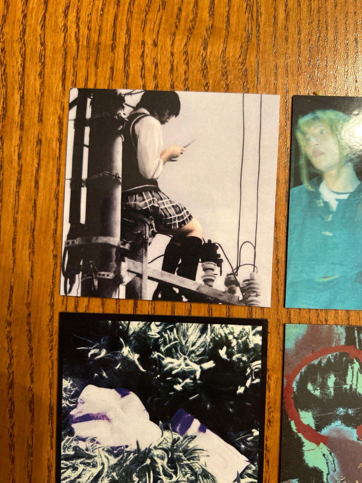 Asian Glow fridge magnets