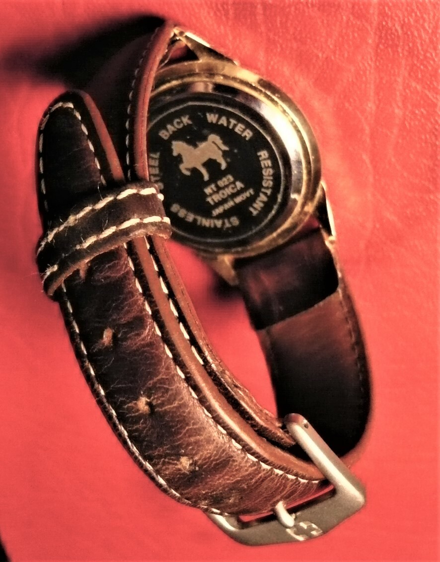 TROICA collectible UNISEX QUARTZ WATER RESISTANT WATCH – Swiss Army band.