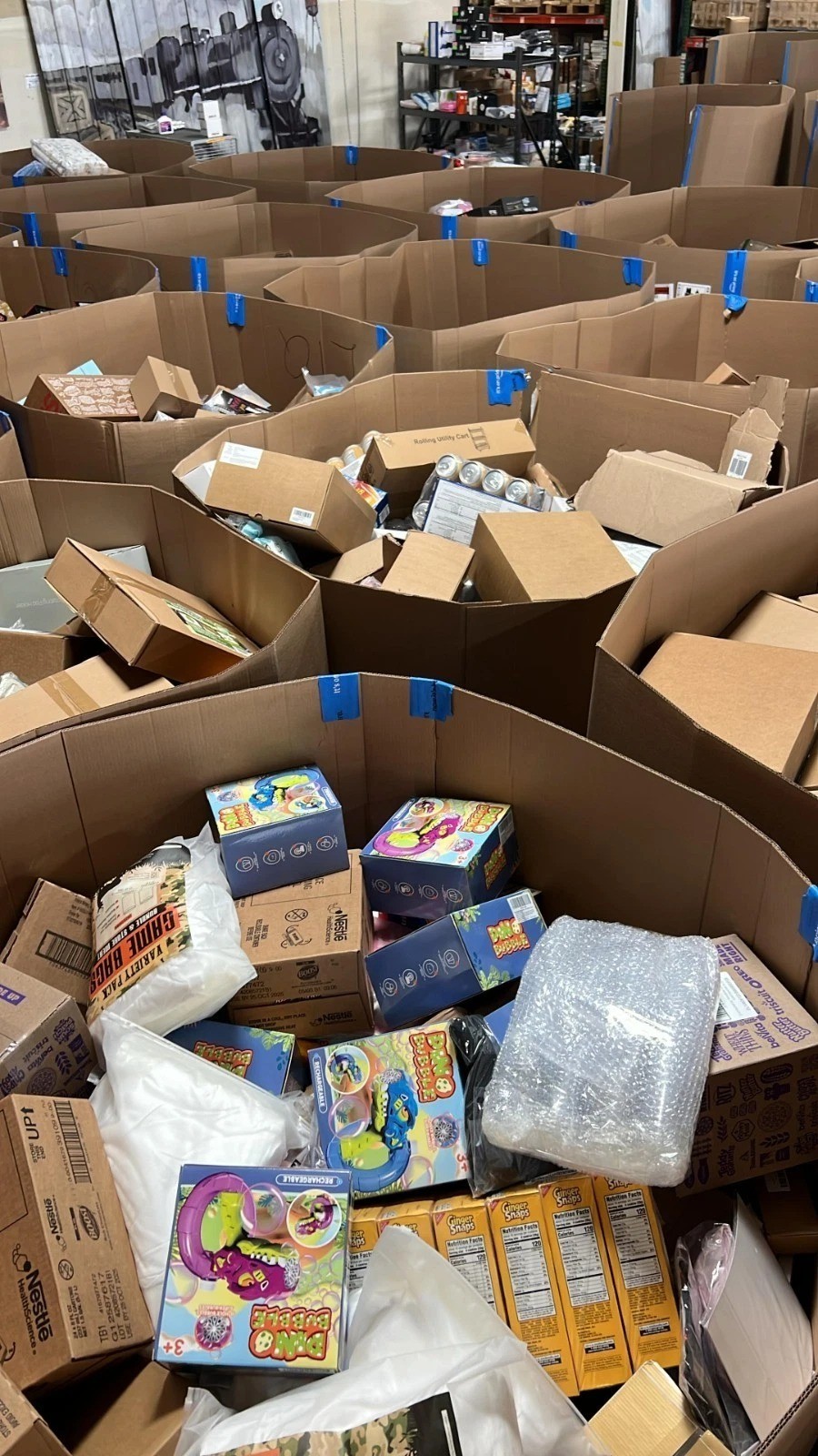 Best Seller Amazon Overstock Grab Bag : Household Items
