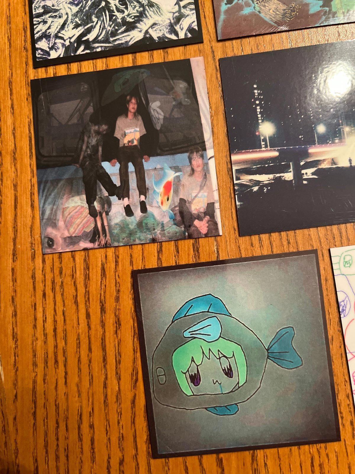 Asian Glow fridge magnets
