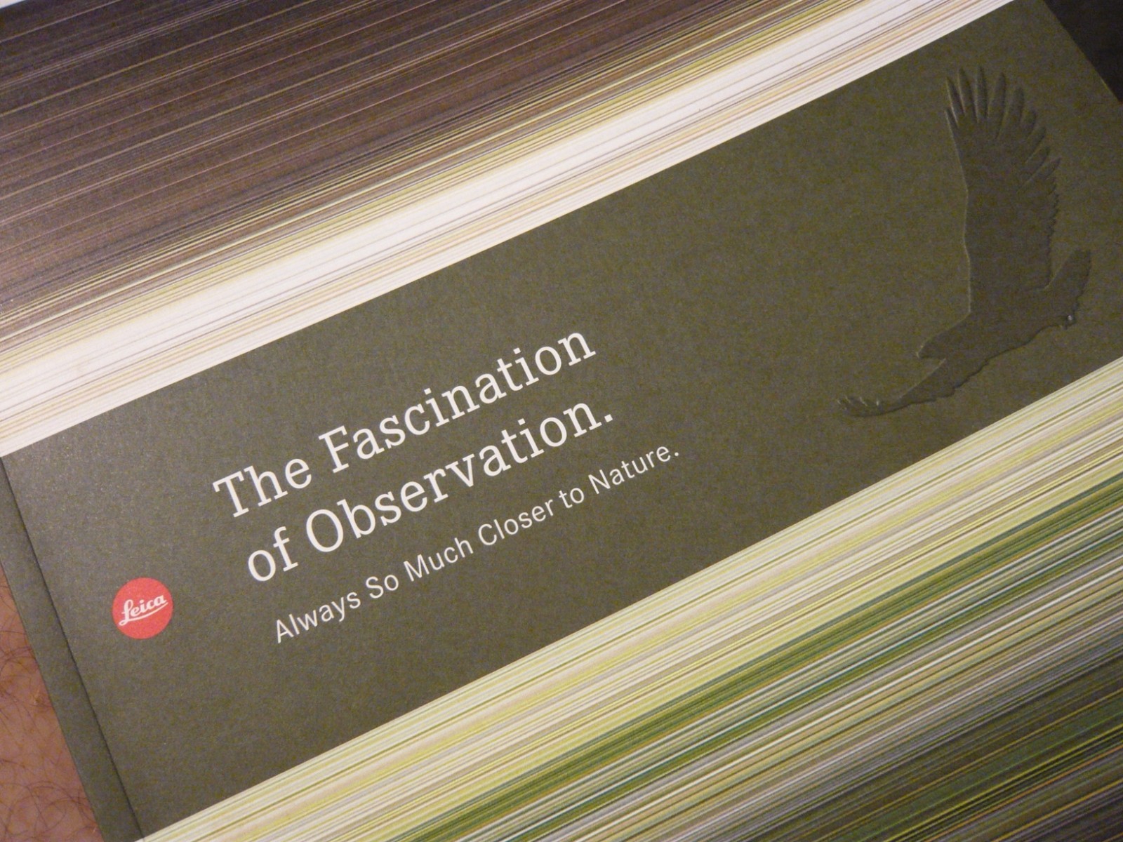 Leica Fascination of Observation. Binocs and Scopes. 75 pages. English specs.