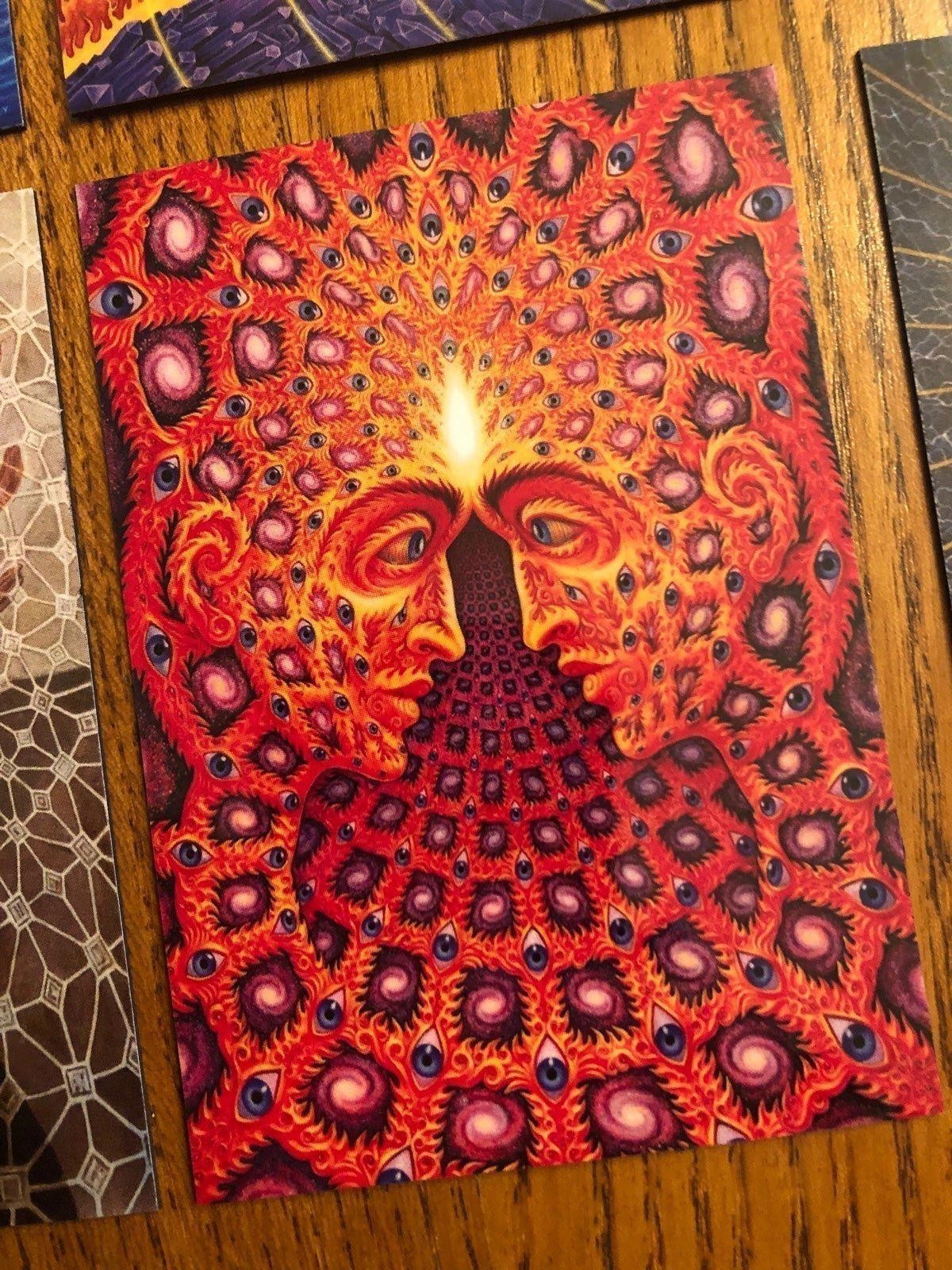 Alex Grey fridge magnets LSD new age healing art painter mystical