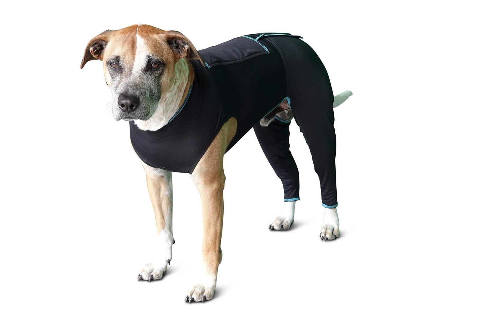 BENEFAB Large Dog Comfort Suit, Lightweight FIR Jacket for Muscle & Joint Relief