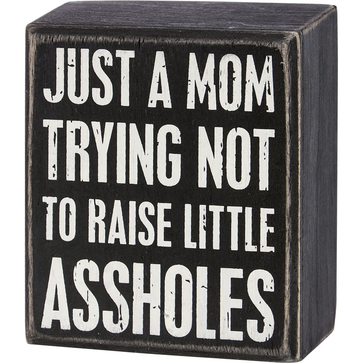 Just A Mom Trying Not To Raise Little A$$holes” Box Sign, Hang or Free-Stand