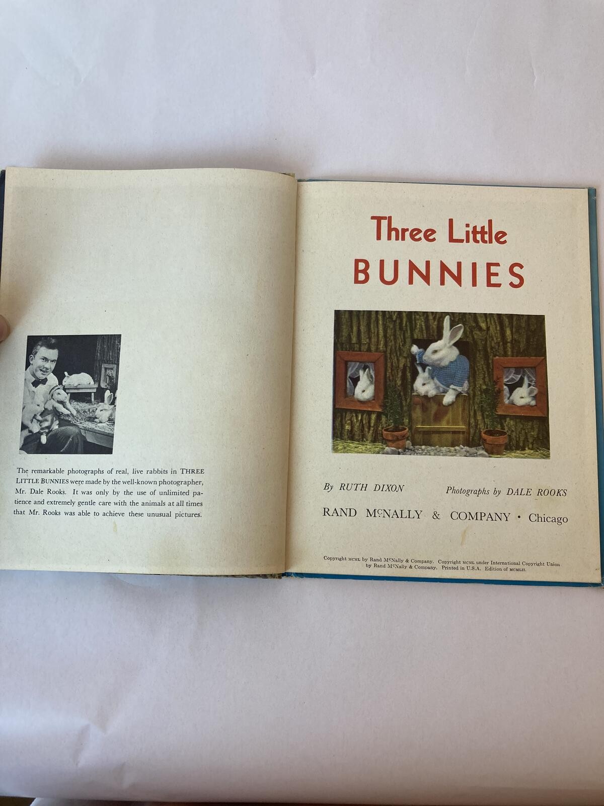 Three Little Bunnies Ruth Dixon Rand McNally Book-Elf Vintage Childrens Book
