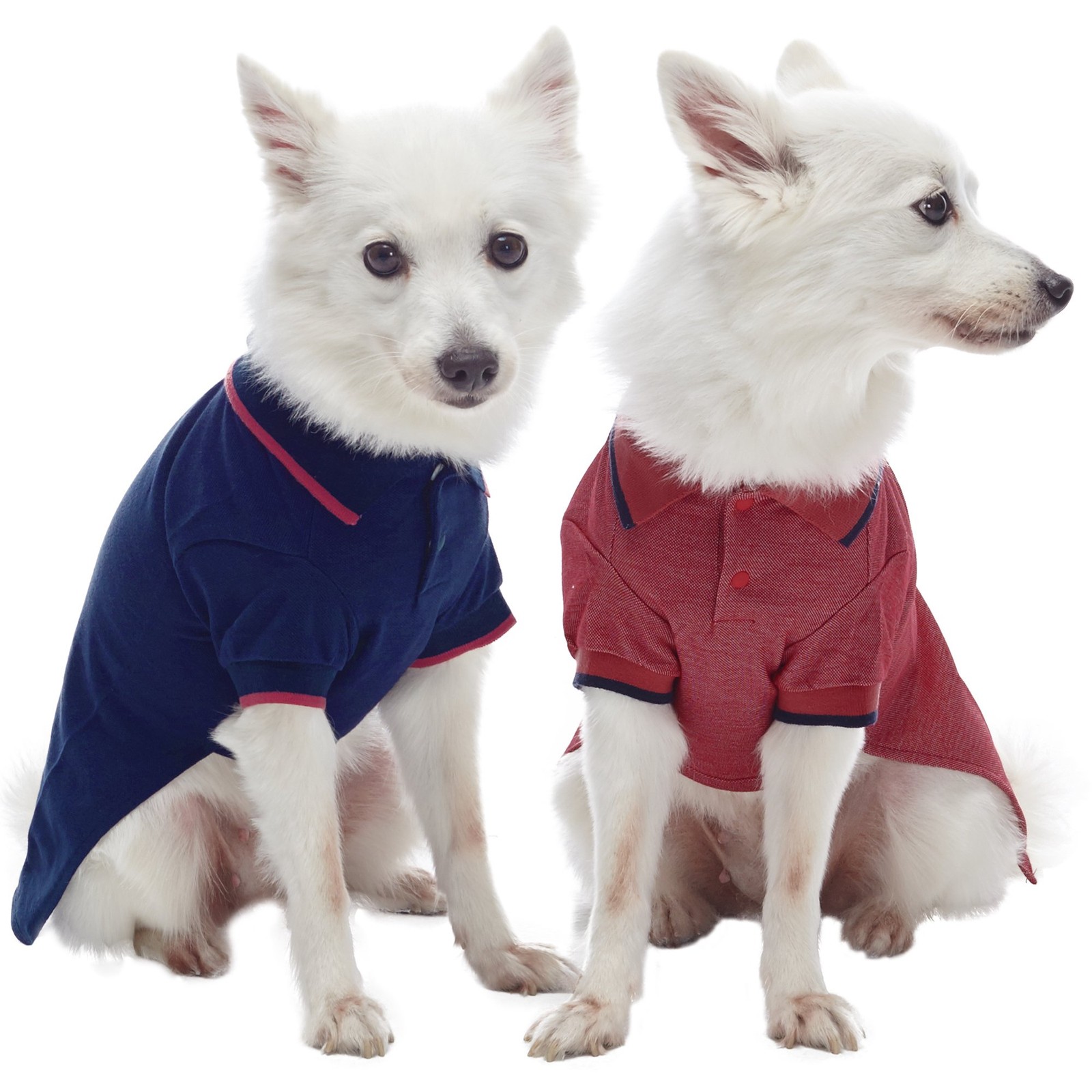 Blueberry Pet 2 Pack Dog Polo Shirts Cotton Blend Navy Rusty Red 14in Back Lengt