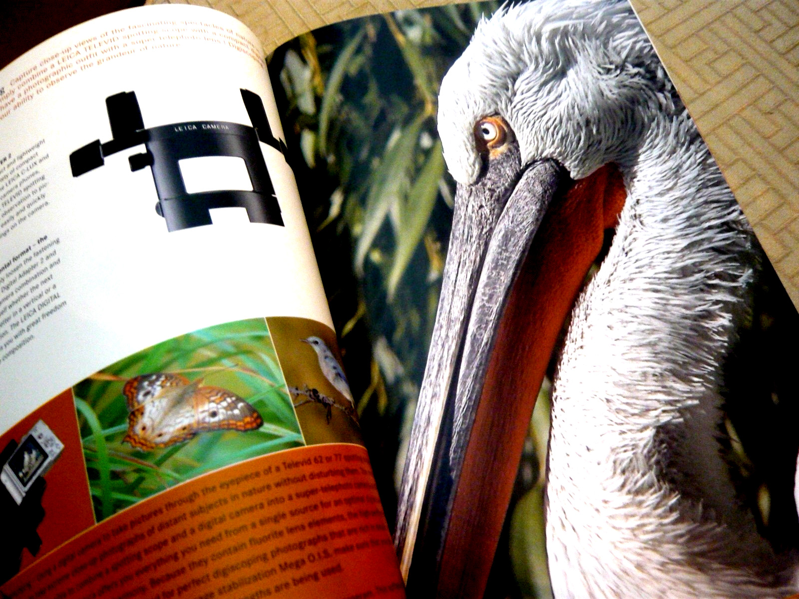 Leica Nature Observation. Binocs and Scopes. 100 pages. English specs.