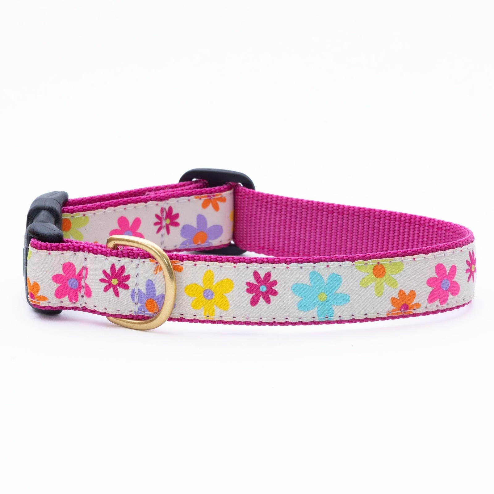 Up Country Spring Fever Dog Collar (Large (15″”-21″”) 1″” Width), Beige