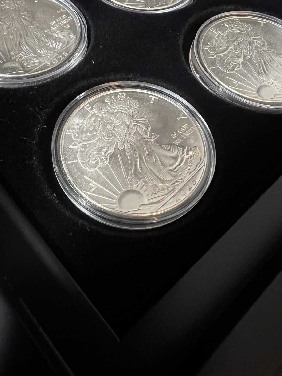 20x – 2025 Silver Plated Eagles With Display Box