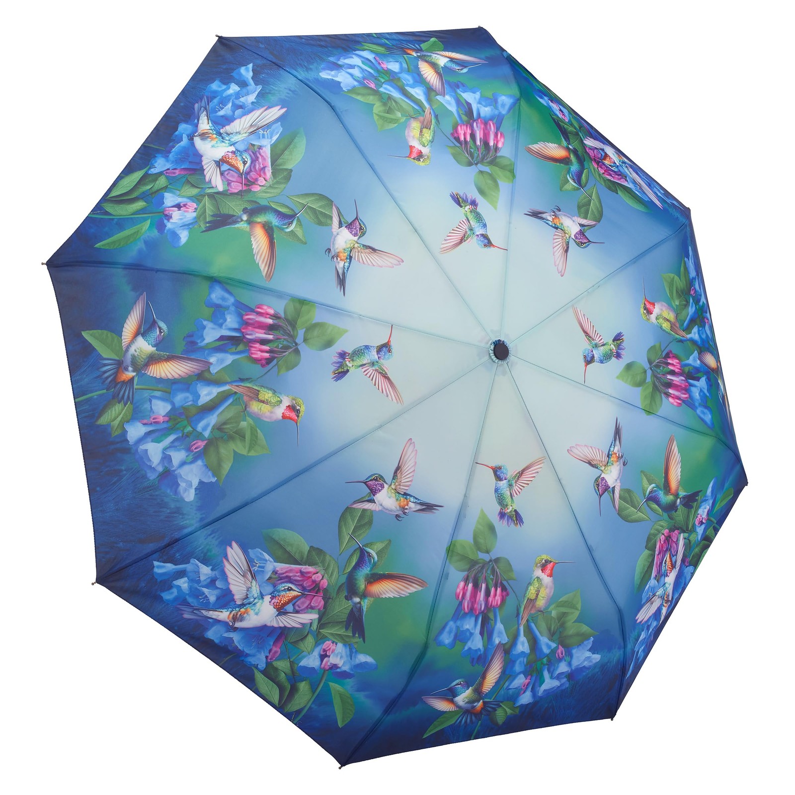 Galleria Bluebells Hummingbirds Auto Open Close Folding Rain Umbrella