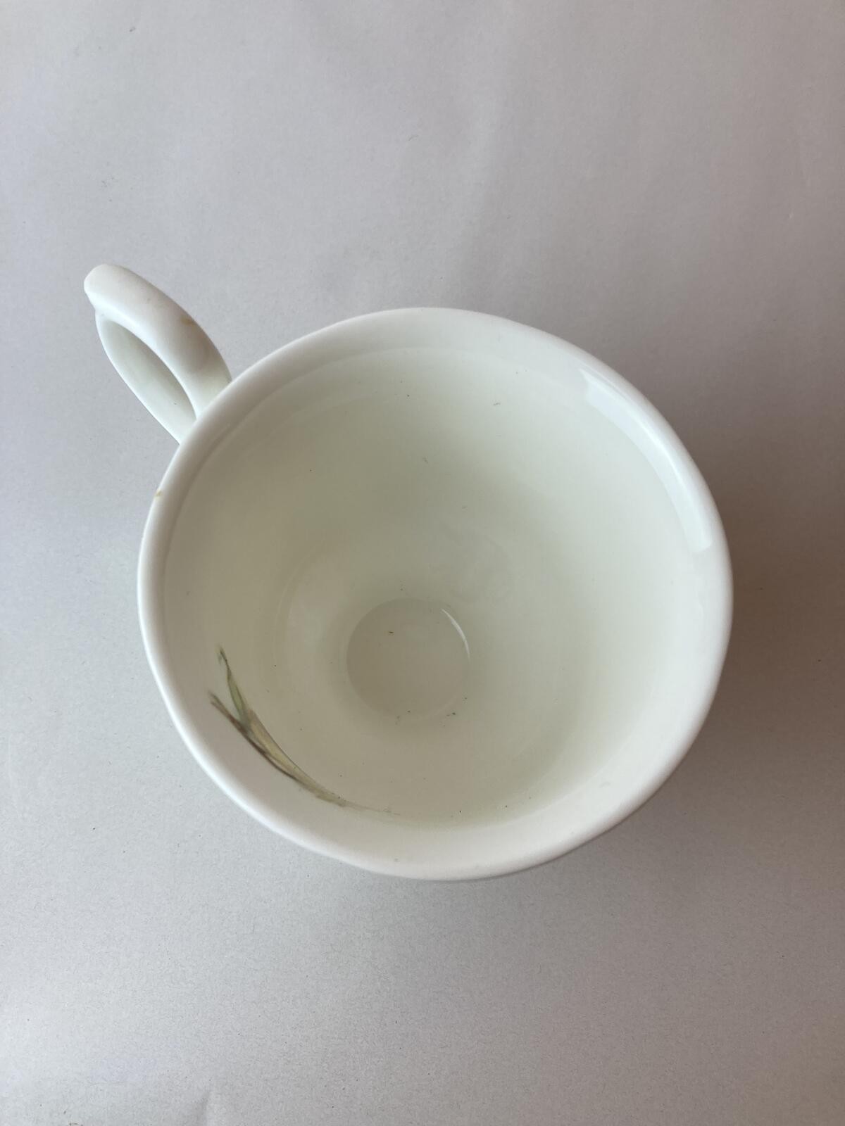 Duchess Bone China Fruit Pattern Teacup Made in England Vtg