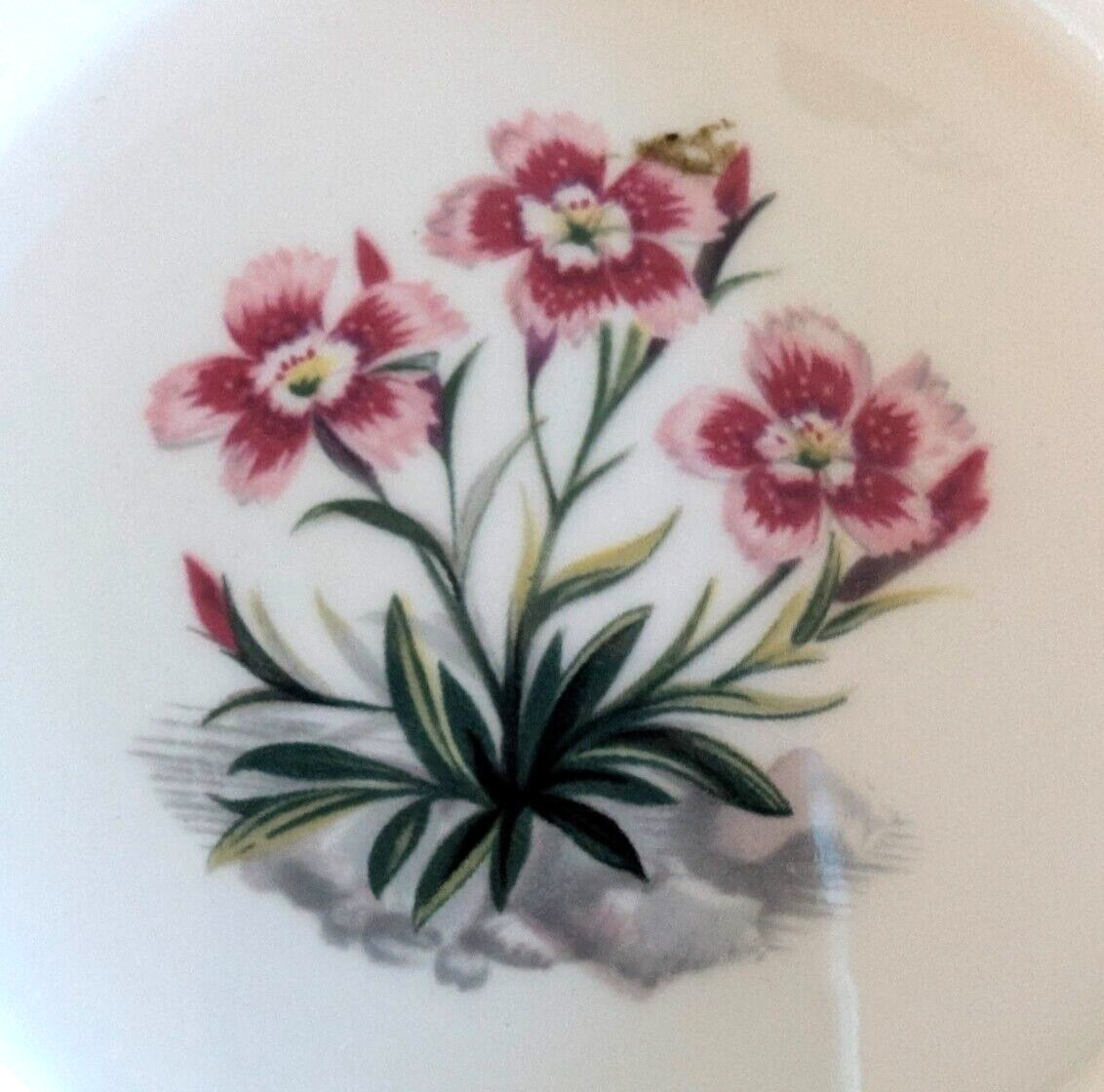 Royal Worcester Fine Bone China Pin Dish – England