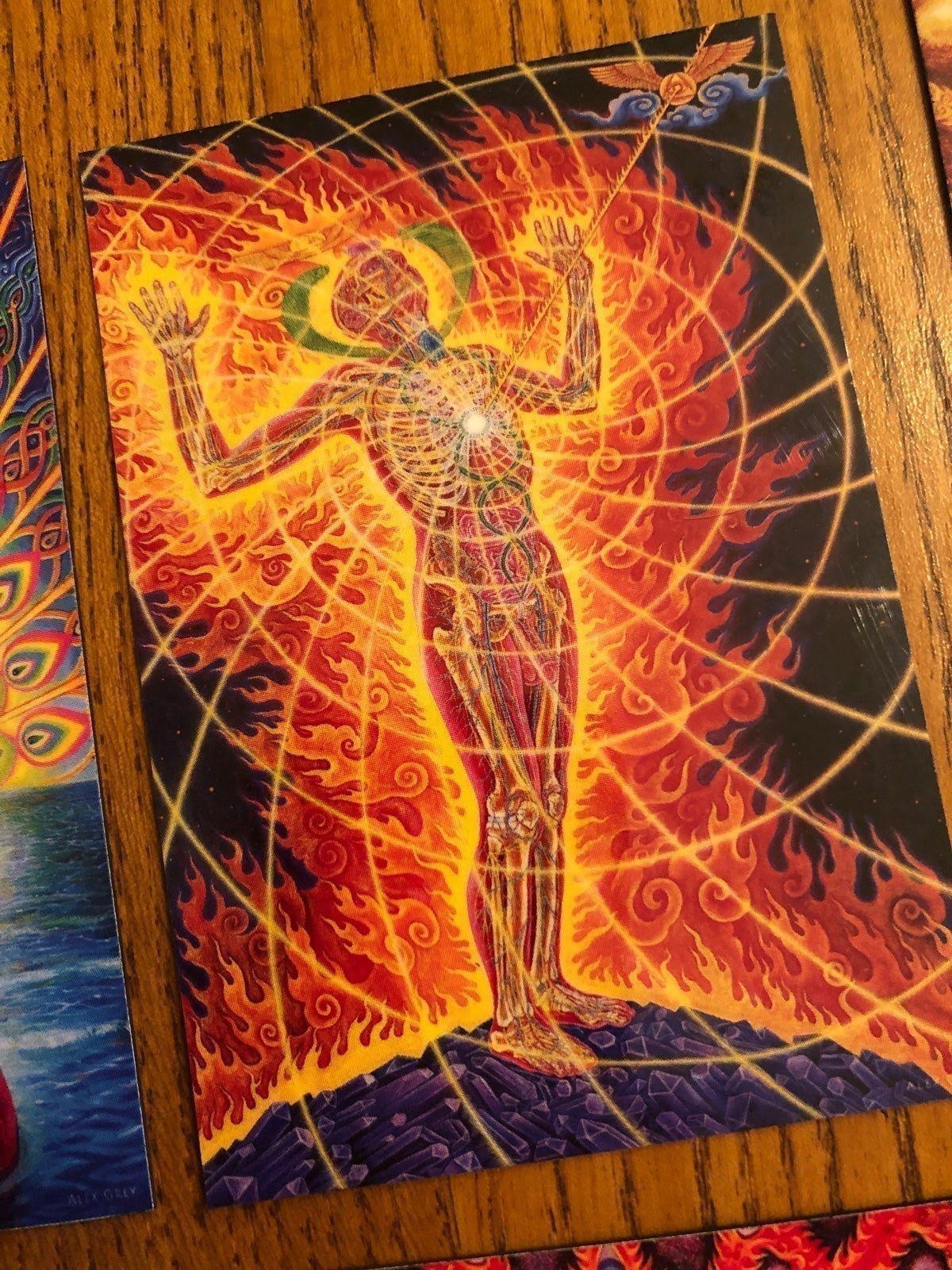 Alex Grey fridge magnets LSD new age healing art painter mystical