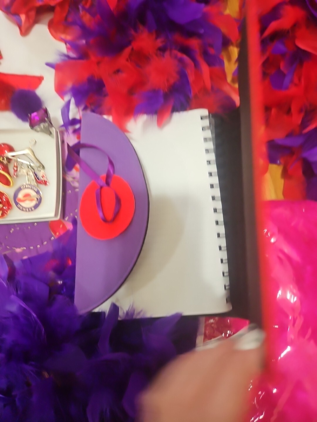 Huge Lot Red Hat Society Jewellry Pins Ornaments Feather Boas Handbags Doll