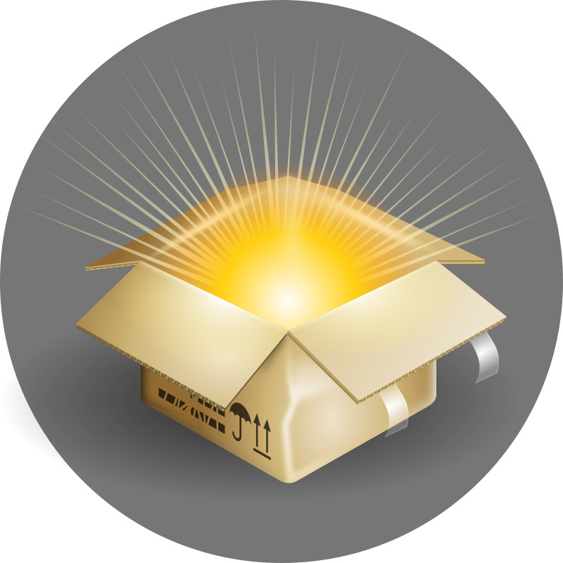 MEDIUM Unclaimed Postal Mystery Boxes, Undelivered,Returned SELLER PAYS SHIPPING