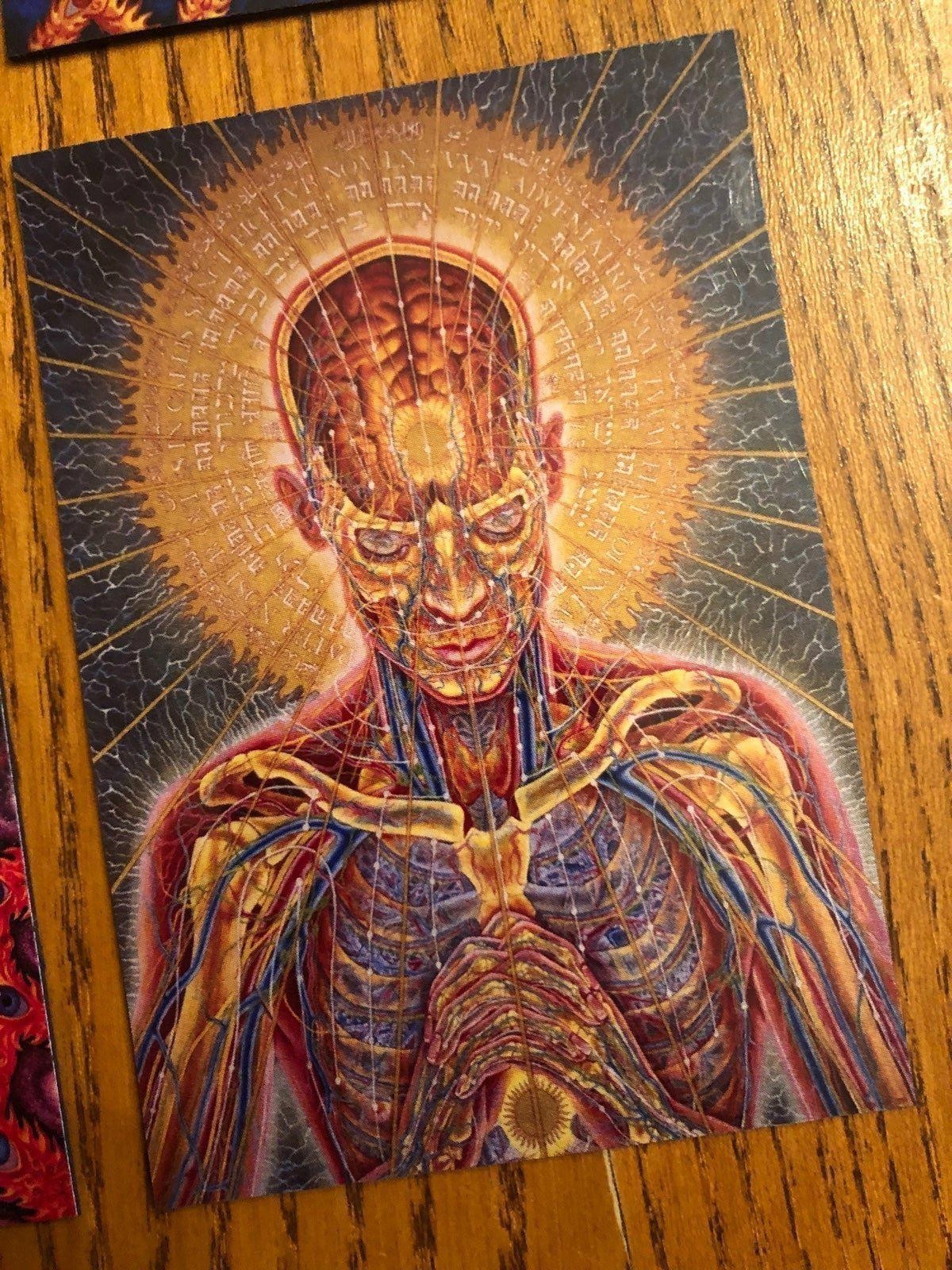 Alex Grey fridge magnets LSD new age healing art painter mystical