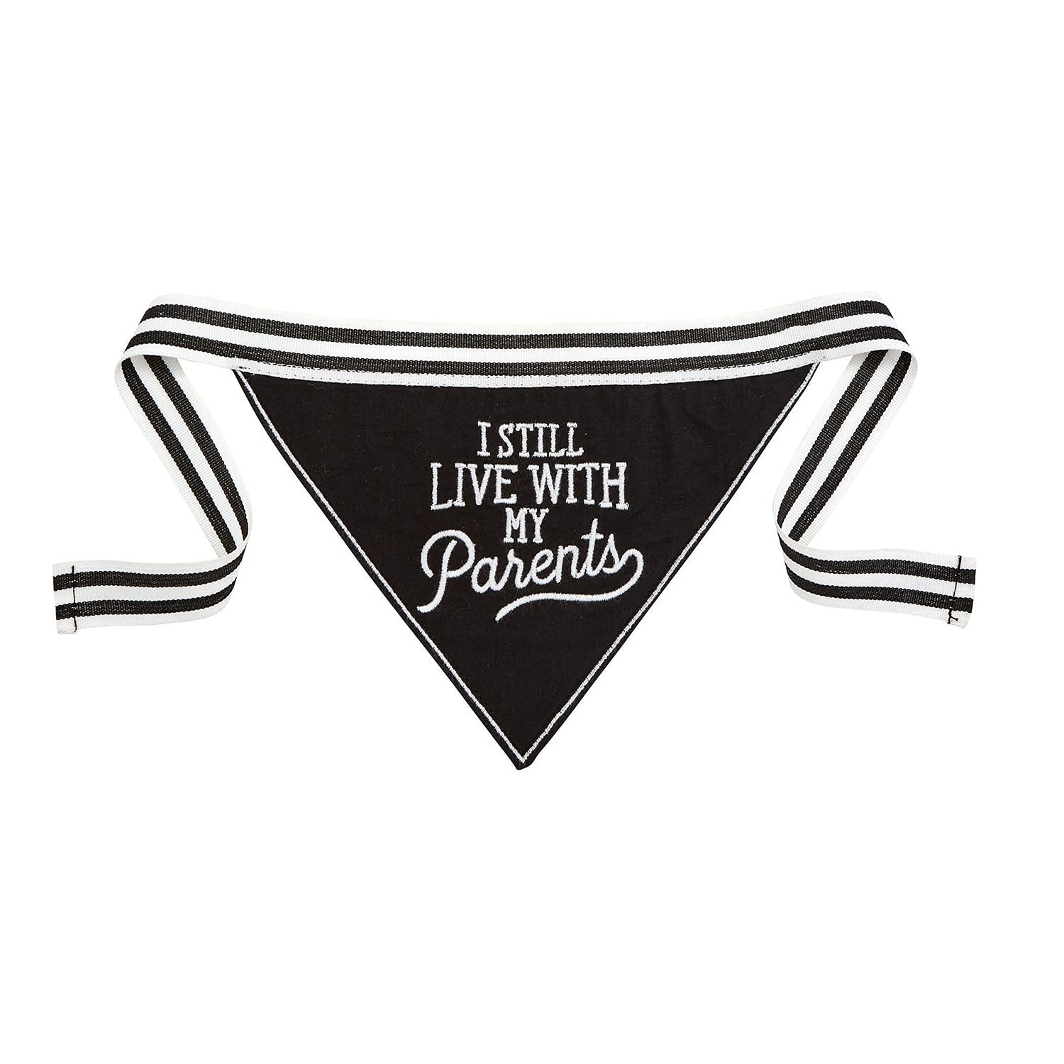 Santa Barbara Design Studio Pet Collection Pet Bandana, 9″ x 5.75″, Live with
