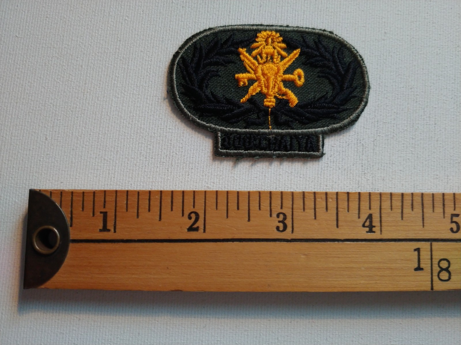 * THAILAND PENITENTIARY PENITENCIER JAIL PRISON GUARD ECUSSON PATCH CREST *