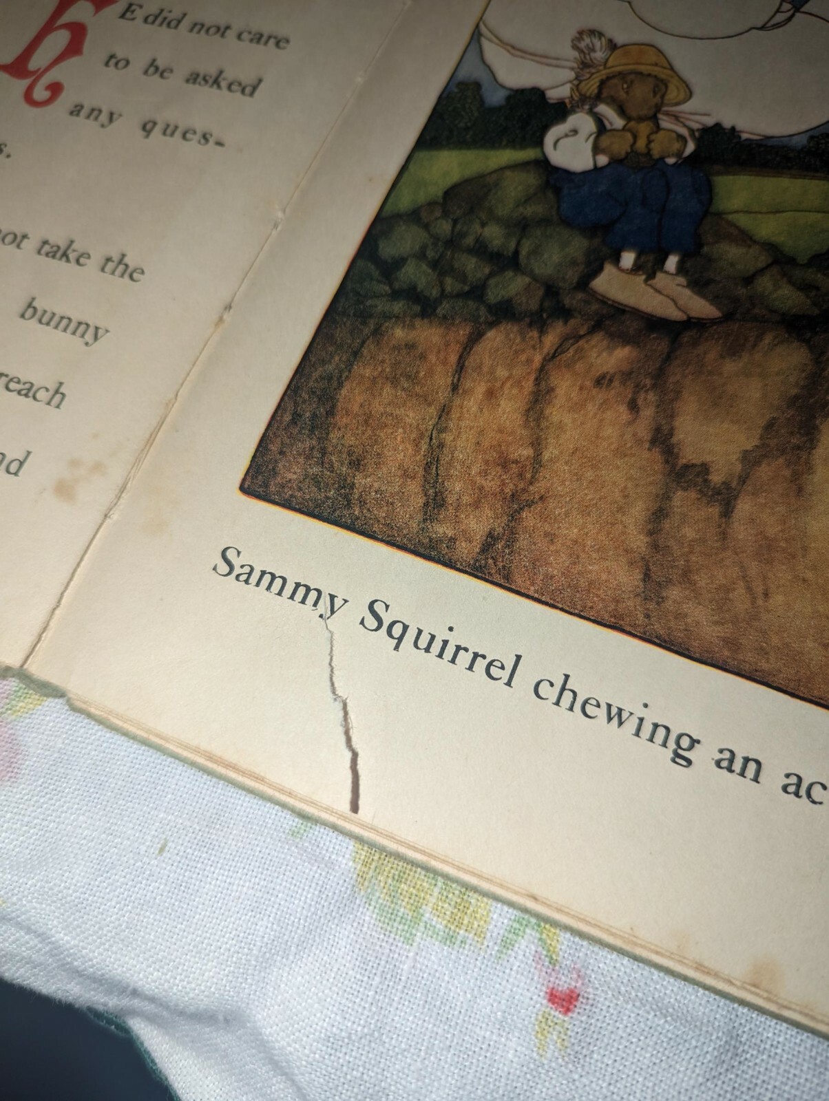 Antique Peter Rabbit and Sammy Squirrel HC book 1918 Great pictures for framing