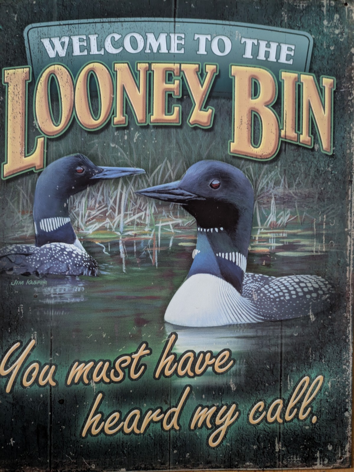 Tin Sign Welcome to the Looney Bin Loon Minnesota Metal Wall Art Decor Cabin