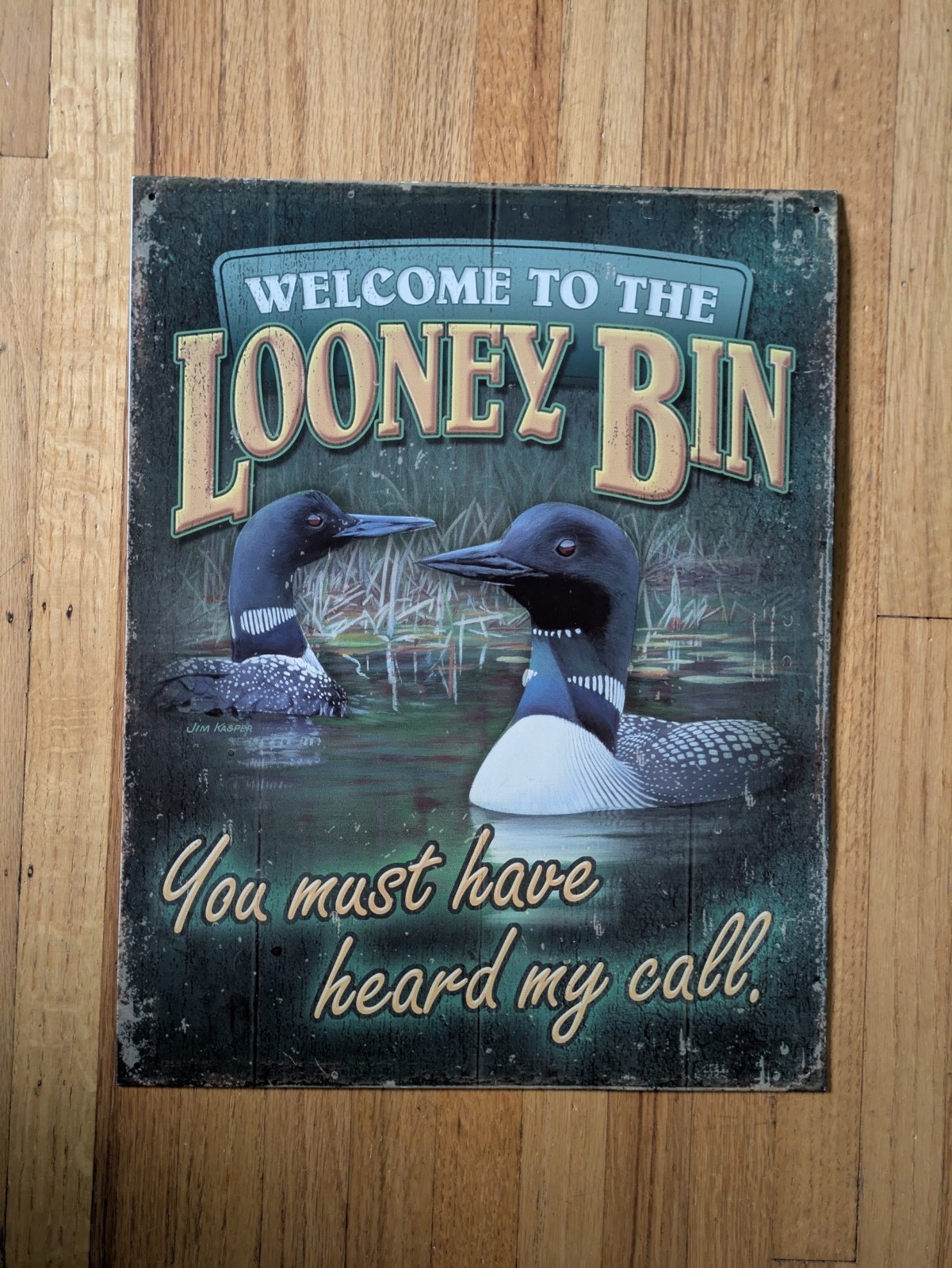 Tin Sign Welcome to the Looney Bin Loon Minnesota Metal Wall Art Decor Cabin
