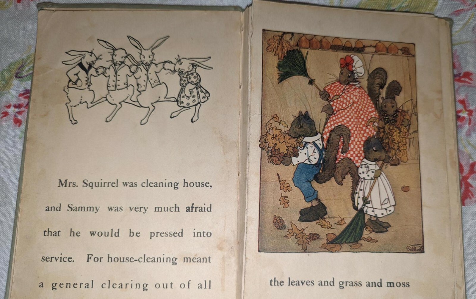 Antique Peter Rabbit and Sammy Squirrel HC book 1918 Great pictures for framing