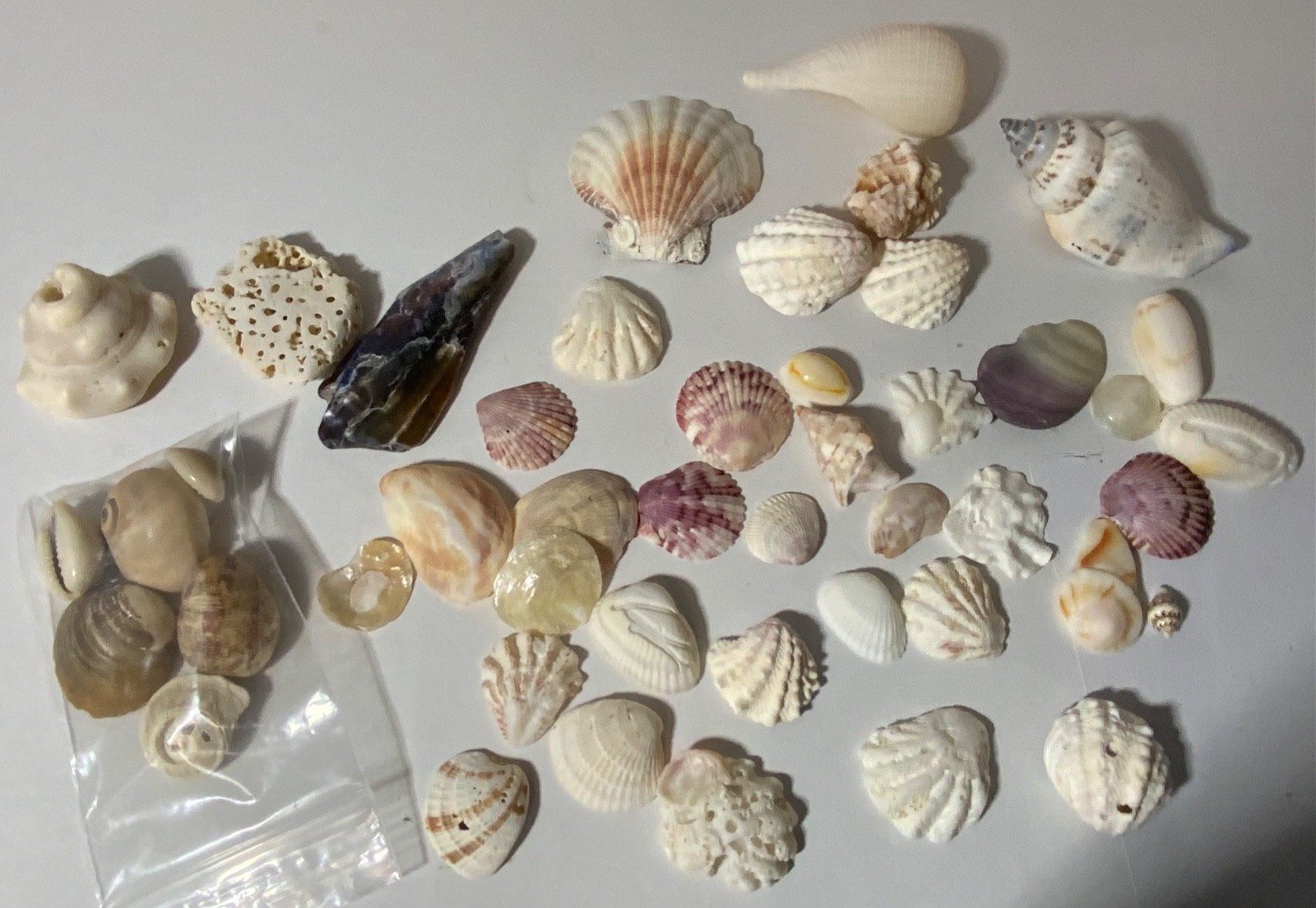 VTG Junk Drawer Lot Assemblage Art Mixed Media Crafts 2.5# Metal Seashells Glass