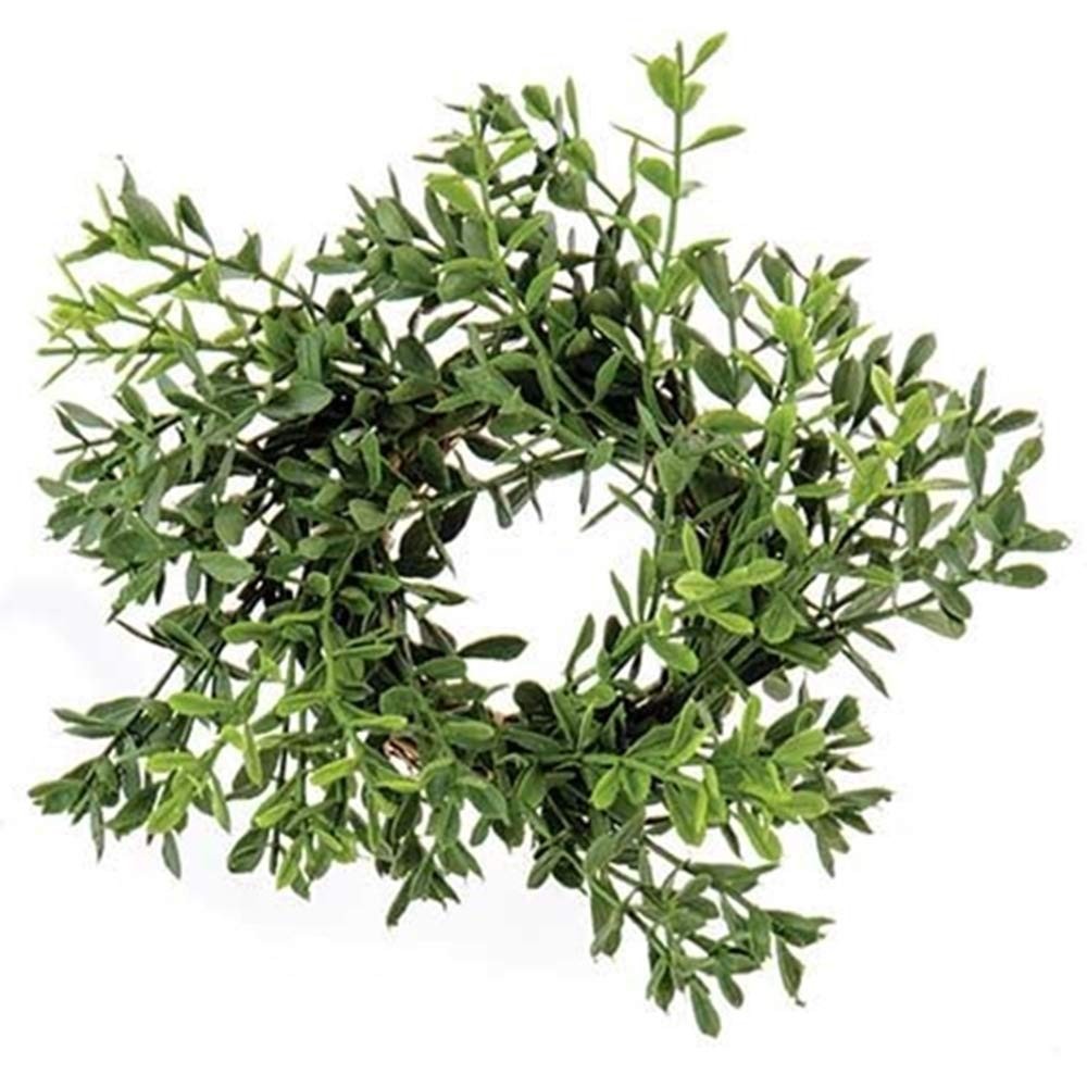 New England Boxwood Candle Ring 2 Inch Center Greenery Wreath 6 Inch