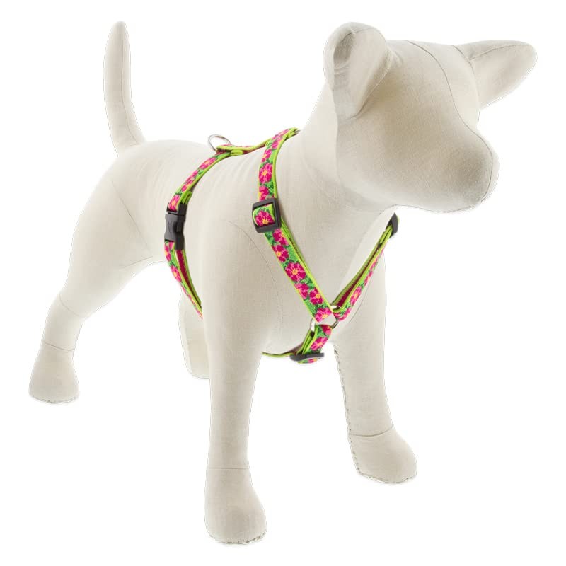 Lupine Adjustable Dog Harness with in 3/4″ Wide Petunias 14-24″ Girth