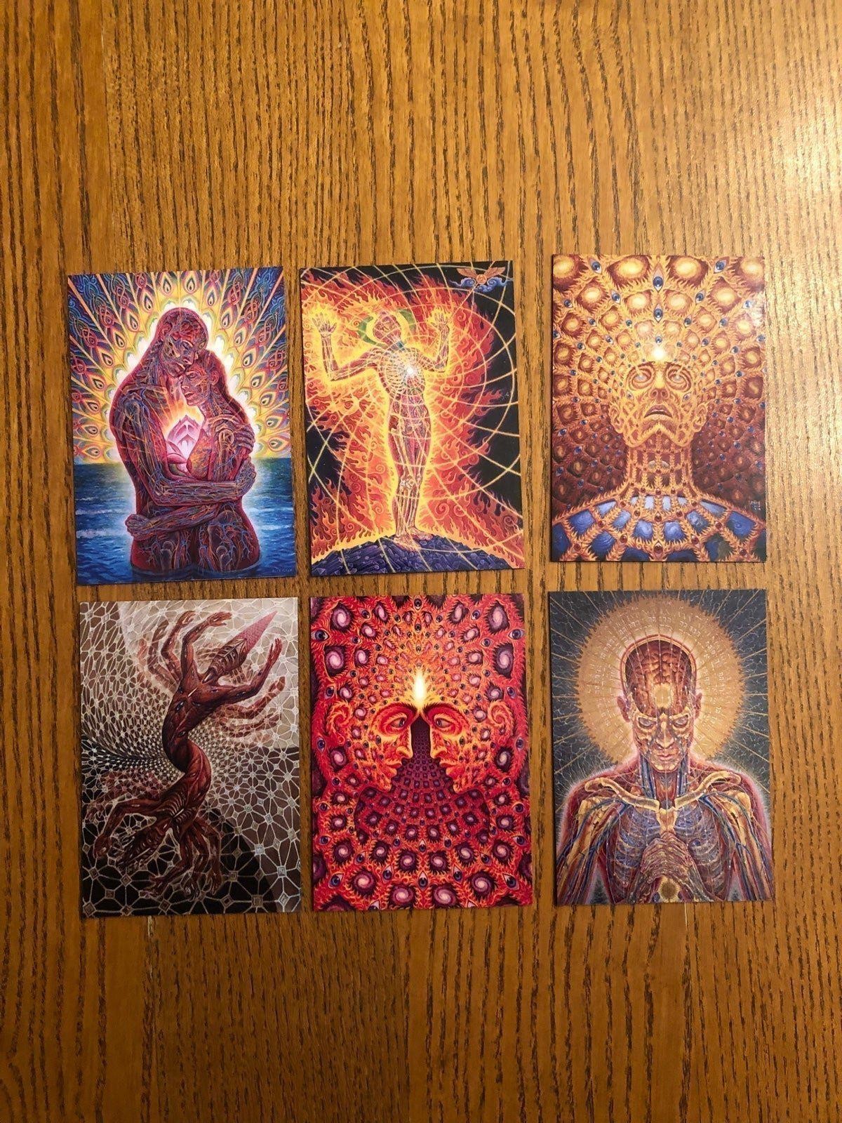 Alex Grey fridge magnets LSD new age healing art painter mystical