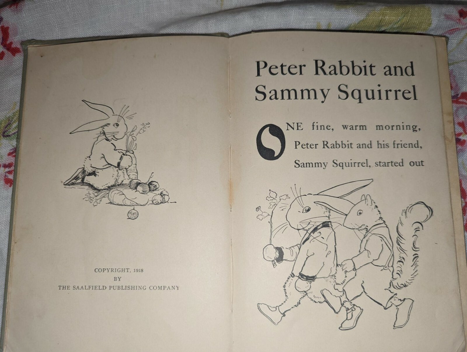 Antique Peter Rabbit and Sammy Squirrel HC book 1918 Great pictures for framing