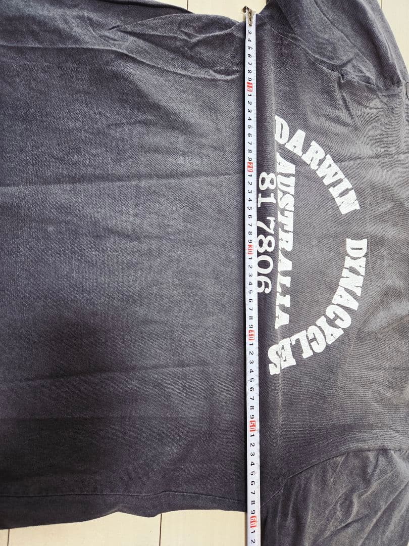 Final price! 80’s! Special! Harley-Davidson T-shirt Eagle