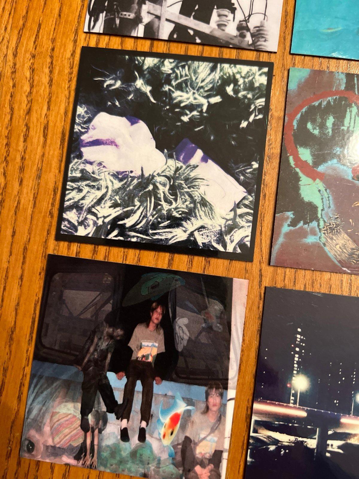 Asian Glow fridge magnets