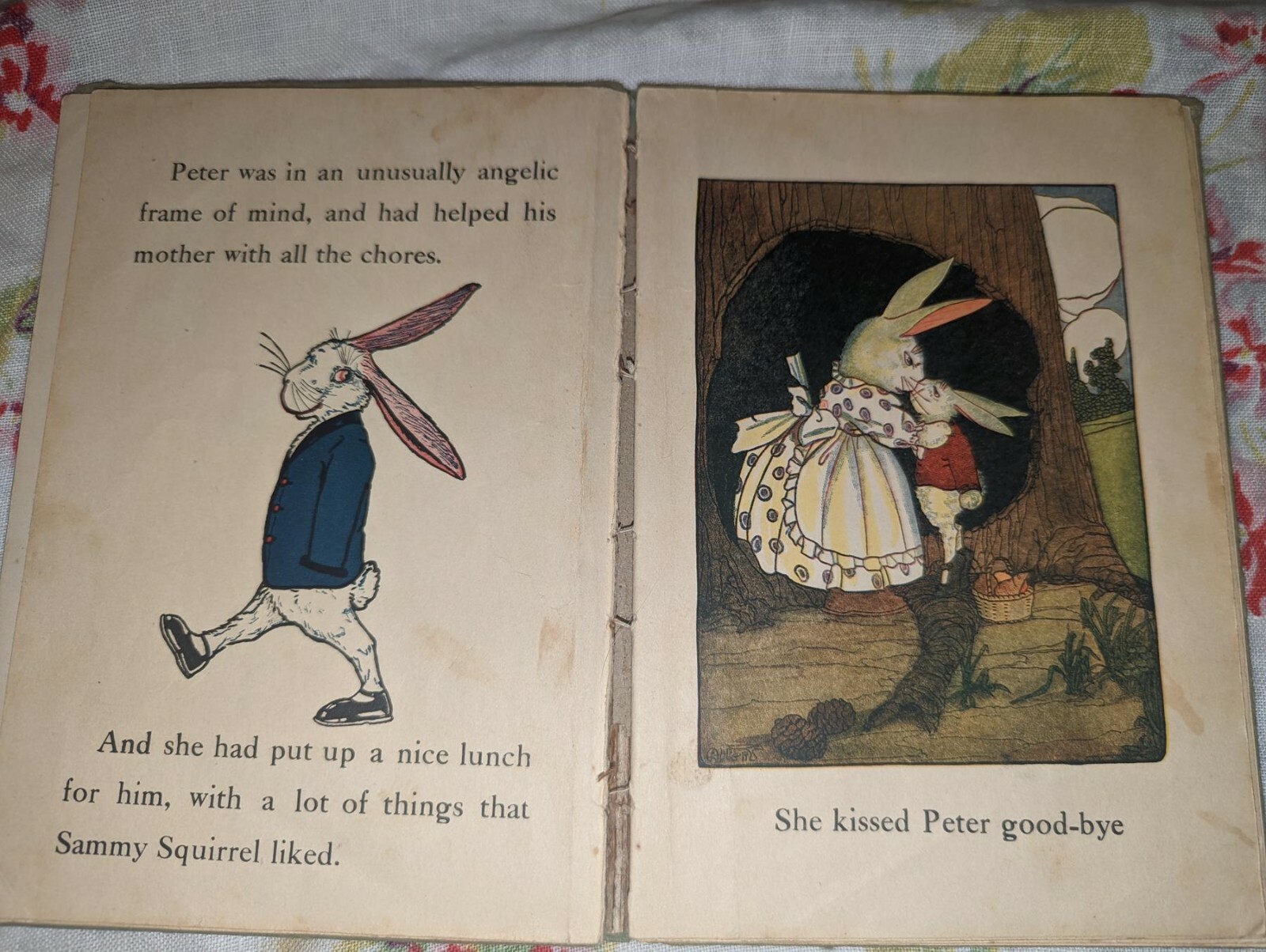 Antique Peter Rabbit and Sammy Squirrel HC book 1918 Great pictures for framing