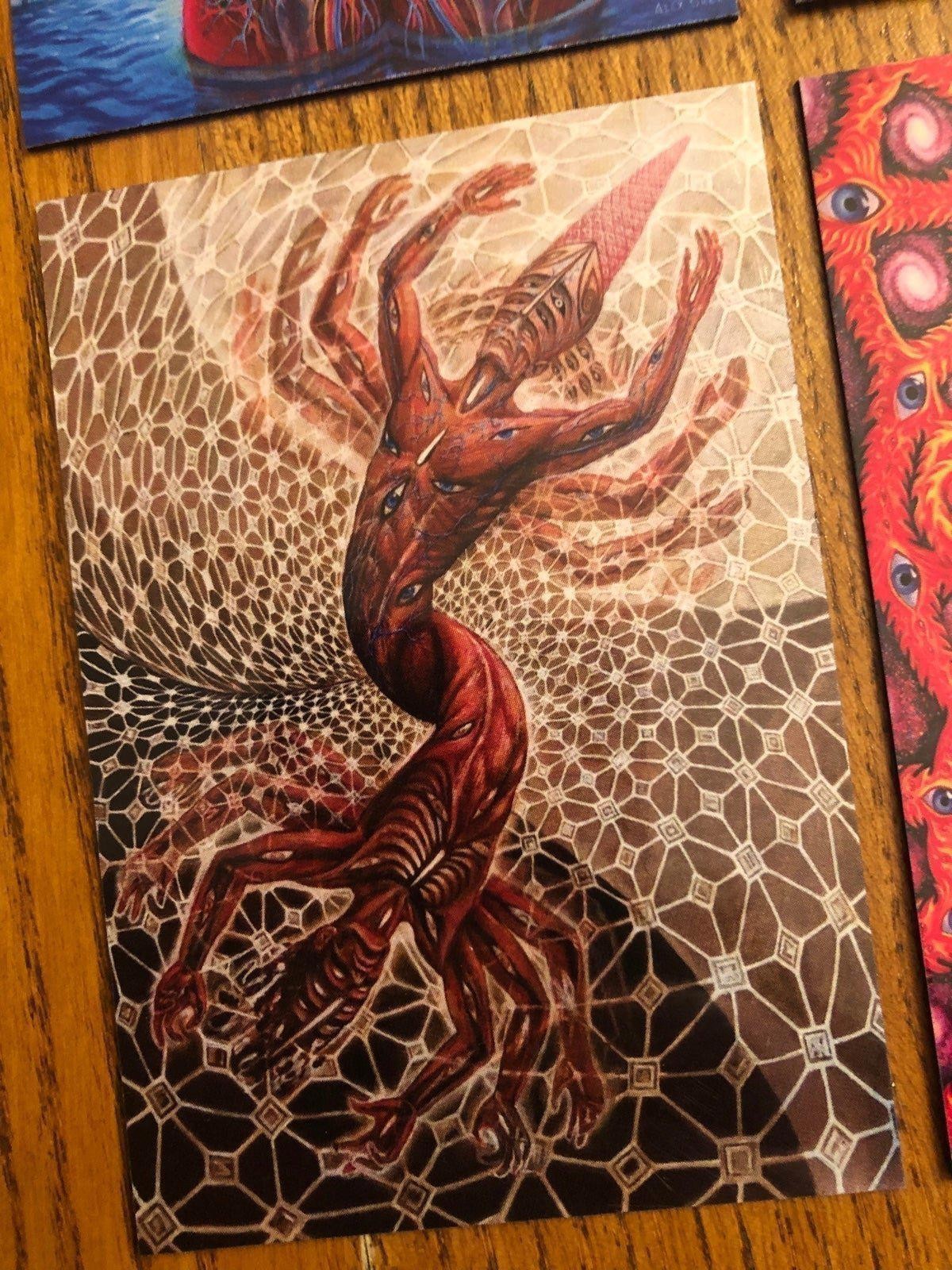 Alex Grey fridge magnets LSD new age healing art painter mystical