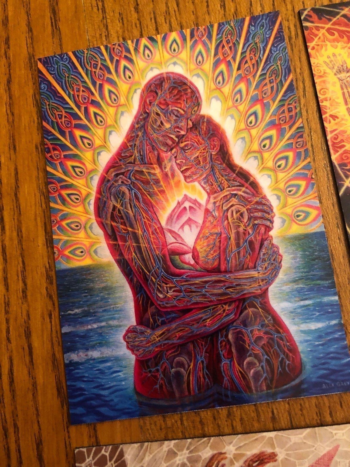 Alex Grey fridge magnets LSD new age healing art painter mystical