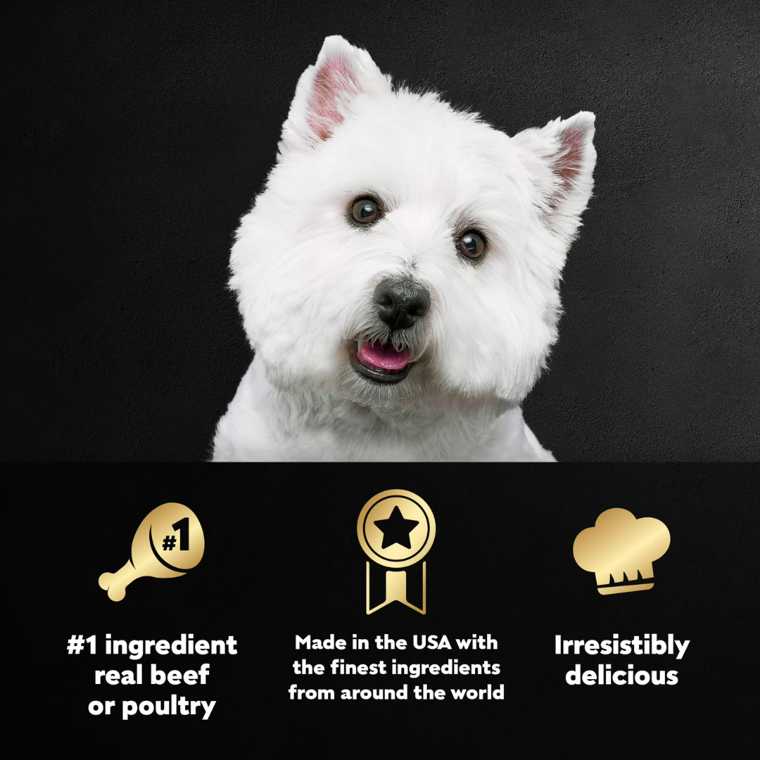 (2 pack) Cesar Classic Loaf In Sauce Wet Dog Food 3.5 Oz Trays 36 Pack